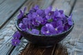 Purple violets in a black plastic bowl on a wet wooden garden table Royalty Free Stock Photo