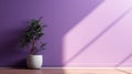 purple wall background with shadow on wall with blur indoor green plant foreground