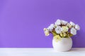 Purple wall with calla lily rose white flower on shelf white wood, copy space for text. Royalty Free Stock Photo