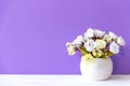 Purple wall with calla white flower on shelf white wood, copy space for text. Royalty Free Stock Photo