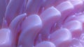 purple warped background with waves and deformations. 3d render Royalty Free Stock Photo