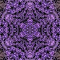 Purple watercolor arabesque background. Violet purple mandala background