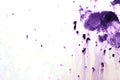 Purple Watercolor splashes on the white. Watercolor background