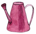 Purple watering can. Isolated on white background. Watercolor hand drawn sketch. Stock illustration for design, for