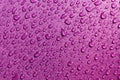 Purple waterproof material, rip stop cloth with drops of water