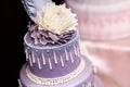 Purple wedding cake decorated with flowers Royalty Free Stock Photo