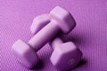 Purple weights yoga mat Royalty Free Stock Photo
