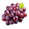 Purple wet grapes bunch isolated on transparent or white background with clipping path Royalty Free Stock Photo