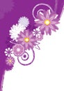 Purple-white background