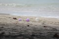 purple and white balloons on the sand carried by the wind on the beach Royalty Free Stock Photo