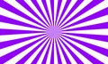 Purple white color burst background. Rays background in retro style. Vector. Royalty Free Stock Photo