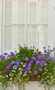 purple and white flowers on plants in a window box, below a shuttered window Royalty Free Stock Photo