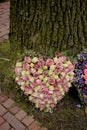 Purple and white Sympathy flowers near a tree Royalty Free Stock Photo