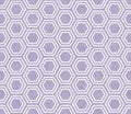 Purple and White Hexagon Tile Pattern Repeat Background