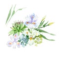 Purple and white iris floral botanical flowers. Watercolor background set. Isolated bouquet illustration element. Royalty Free Stock Photo