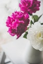 Purple and white peony flowers in vase Royalty Free Stock Photo