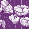 Purple and white poppy pattern