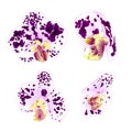 Purple-white Spotted Orchids Phalaenopsis beautiful flowers set three vintage on a white background vector illustration closeu Royalty Free Stock Photo