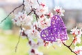 Purple wicker rattan heart surrounded by flowering branches of spring trees Royalty Free Stock Photo