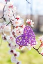 Purple wicker rattan heart surrounded by flowering branches of spring trees Royalty Free Stock Photo