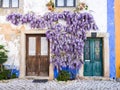 Purple wisteria plant growing arounf doors of an old house in Po