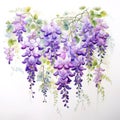 Purple wisteria on white background, Generative AI