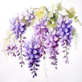 Purple wisteria on white background, Generative AI