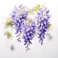 Purple wisteria on white background, Generative AI