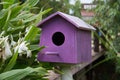 Purple Wooden bird houses beside the river Royalty Free Stock Photo