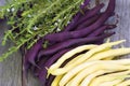 Purple and yellow beans lying on a wooden table Royalty Free Stock Photo