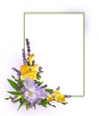 Purple and yellow freesia flowers in a corner floral arrangement with empty card on white Royalty Free Stock Photo