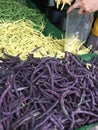 Choosing string beans at the local farmers market