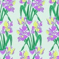 Purple and yellow iris flowers, floral seamless pattern. Art Nouveau style. Vector hand drawn illustration Royalty Free Stock Photo