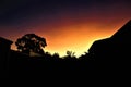 late sunset with black tree and house in backyard