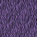Purple Zebra Animal Motif Vector Seamless Pattern Design