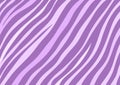 Purple zebra stripes background pattern wallpaper for use with designs