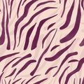 Purple zebra stripes on a seamless pattern