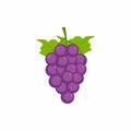 Purples grapes icon. Fresh bunch of grapes purple with green leaves isolated image on white background. Vineyard grape. Fresh Royalty Free Stock Photo