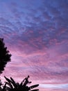 Purplesky Royalty Free Stock Photo