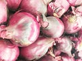 Purplish red skin and white flesh tinged with red onions.