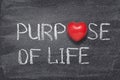 Purpose of life heart Royalty Free Stock Photo