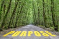 Jungle road to purpose Royalty Free Stock Photo