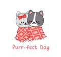 Purr-fect day. Kittens covered with a blanket. Valentine day card. Kawaii, cartoon, vector