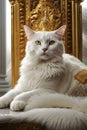 Purr-fect Sovereignty: A Queenly Portrait of Your Feline Monarch