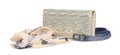 Purse, bag, belt, isolated on white background Royalty Free Stock Photo