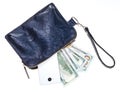 Purse bag with phone, cards and dollars isolated Royalty Free Stock Photo