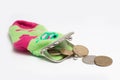 Purse coin Royalty Free Stock Photo