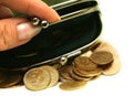 Purse with coins Royalty Free Stock Photo