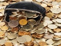 Purse with coins and dollars Royalty Free Stock Photo