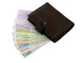 Purse and euro banknotes from five up to five hundred Royalty Free Stock Photo